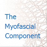 The Myofascial Component